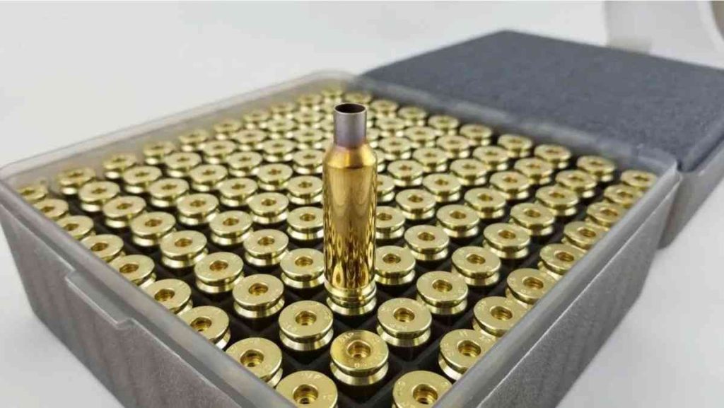 Many shiny brass ammunition casings in a container.
