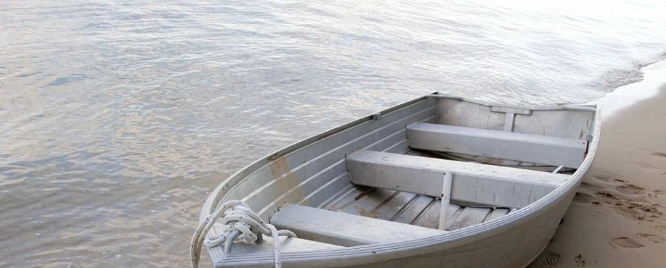 A silver-coloured boat packed by the seashore 