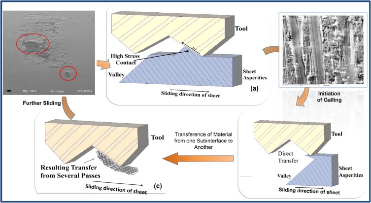 A flowchart showing how galling causes adhesive wear. 