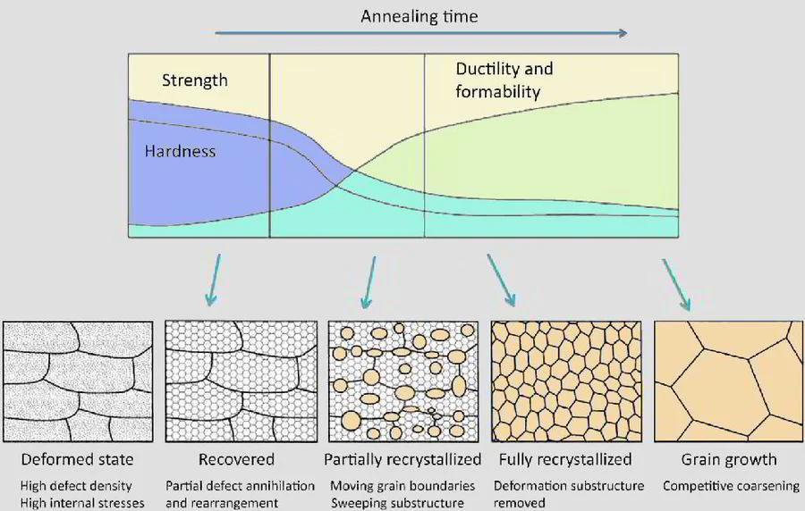 Graph showcasing the phases of the annealing process, including strength, hardness, ductility, and grain growth stages.