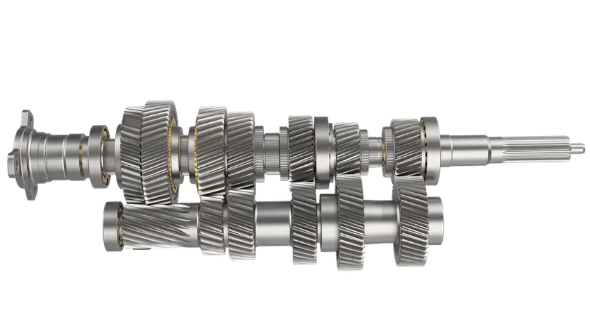 Two shafts each with several teethed protrusions and bearings on each end 