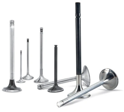 Various car engine valves arranged to show size and design differences