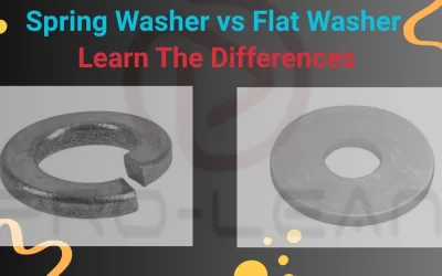 Spring Washer vs Flat Washer: Learn The Differences