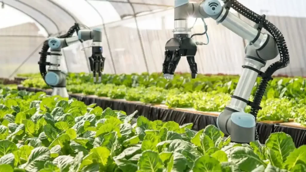 Robotic arms tending to plants in a greenhouse.