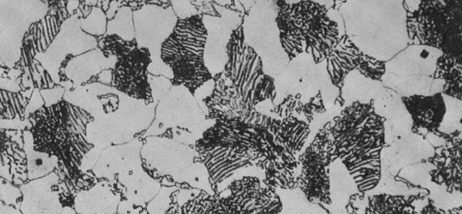 Metal alloys' grain structure