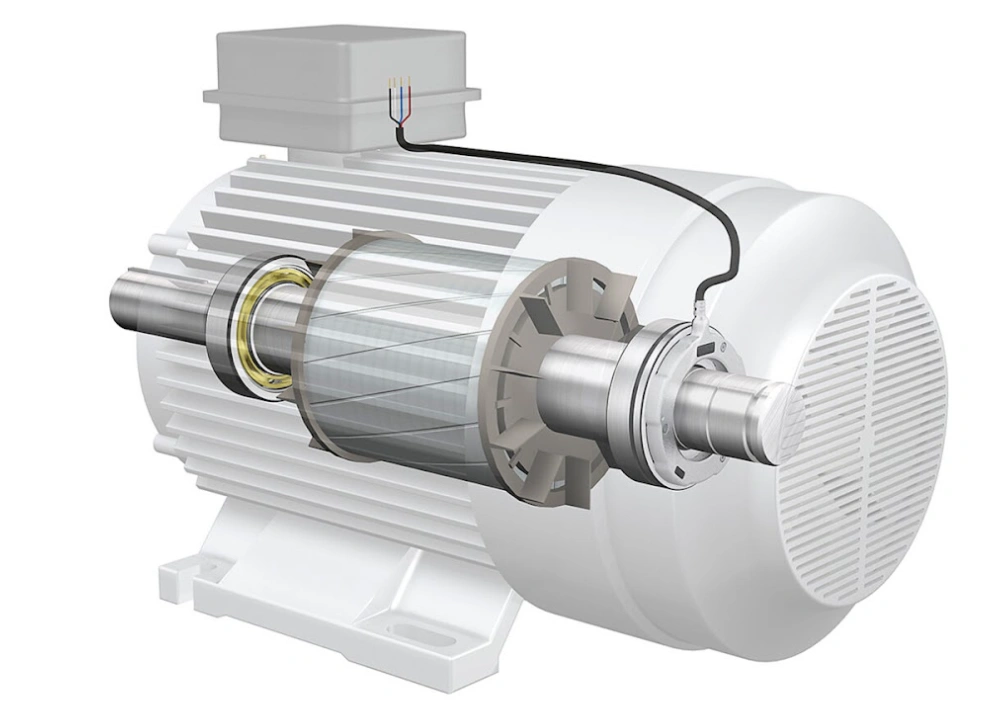 Cross-section cutaway view of electric motor showing internal bearings supporting the rotor shaft