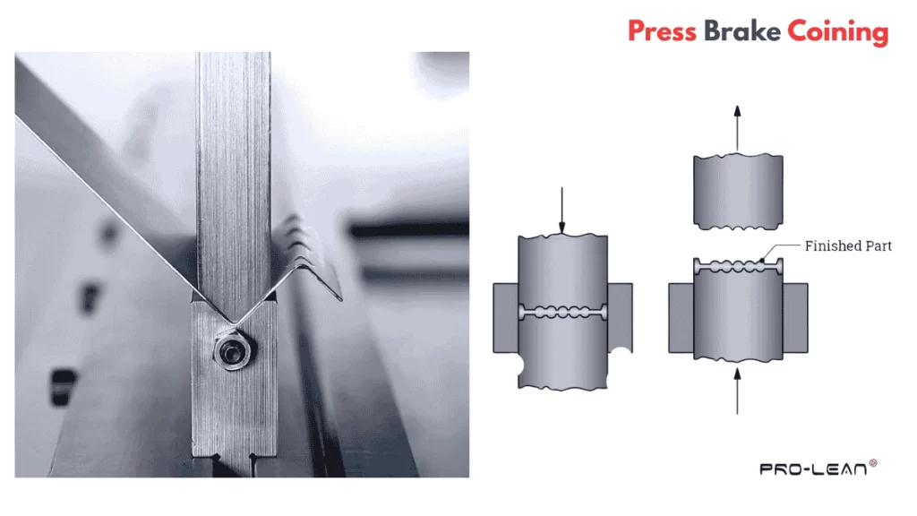 Close-up process view and schematic illustration of press brake coining 