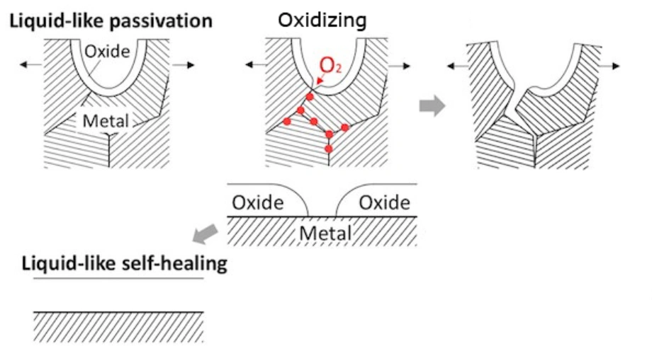 Diagram showing the aluminum oxidation process with passivation layer formation and self-healing oxide growth