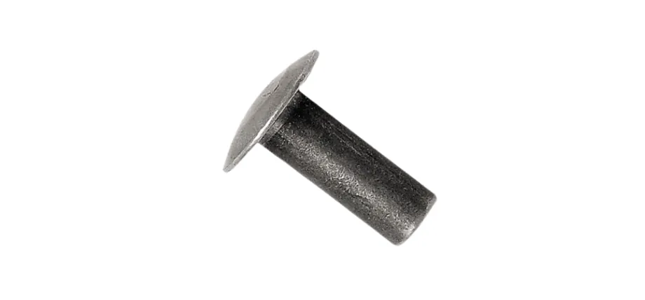 solid rivet with a wide, low-profile truss (mushroom) head